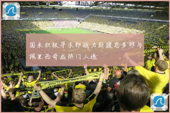 国米积极寻求即战力新援恩多耶与佩里西奇成热门人选