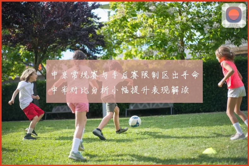 申京常规赛与季后赛限制区出手命中率对比分析小幅提升表现解读